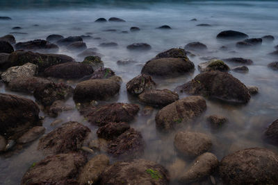 Scenic view of sea waves