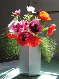 Close-up of red flowers