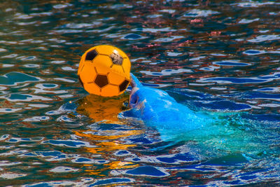 Woman swimming in pool