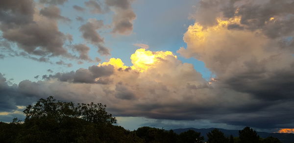 Low angle view of trees against dramatic sky