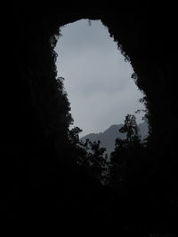 Low angle view of silhouette trees against sky