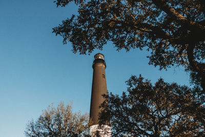 Low angle view of tree against blue sky