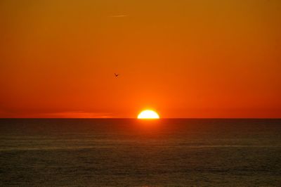 Scenic view of sea against orange sky