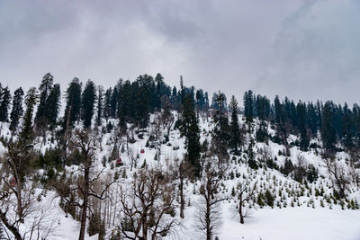 Solang valley, manali, himachal pradesh during winter