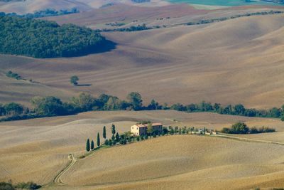 Scenic view of agricultural field