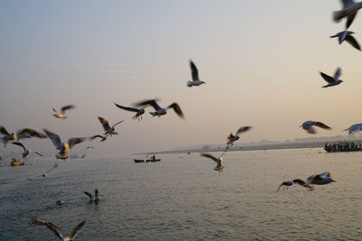 Seagulls flying over lake against sky