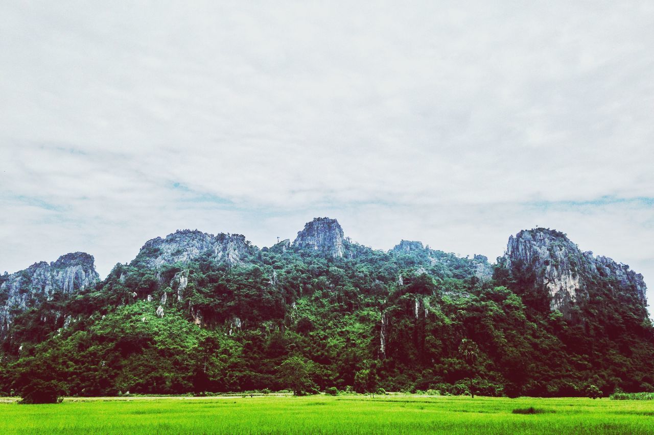 mountain, tranquil scene, tranquility, scenics, landscape, mountain range, sky, beauty in nature, green color, nature, tree, grass, non-urban scene, idyllic, growth, cloud - sky, cloud, day, green, remote