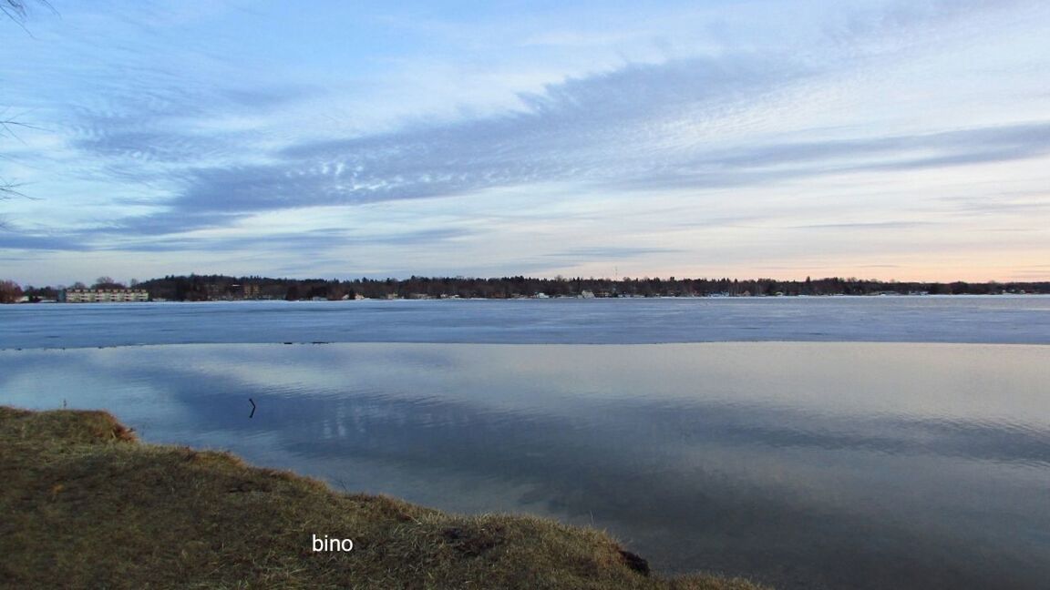 water, cloud - sky, tranquil scene, sky, beauty in nature, scenics - nature, tranquility, lake, nature, no people, day, non-urban scene, tree, reflection, plant, land, outdoors, beach, idyllic