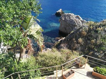Low angle view of horse on tree against sky
