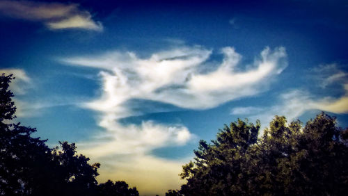 Low angle view of trees against cloudy sky