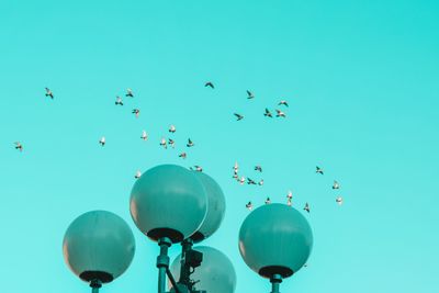 Low angle view of birds flying in sky