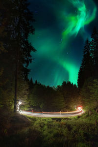 Scenic view of illuminated trees against sky at night