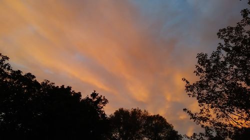 Low angle view of silhouette trees against sky during sunset