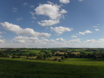 Scenic view of grassy field against sky