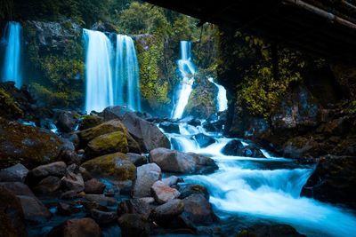 Scenic view of waterfall in forest