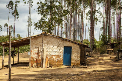 Abandoned built structure on field against trees in forest