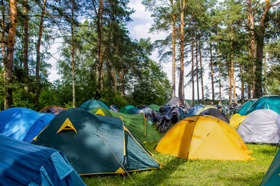 Tent on field by trees in forest