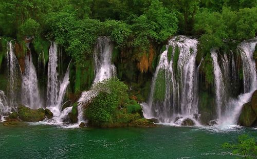 Scenic view of waterfall in forest