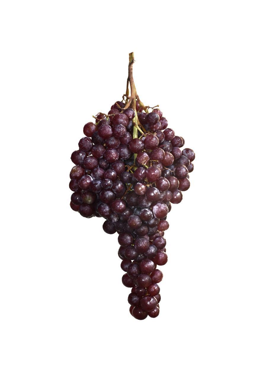 CLOSE-UP OF GRAPES