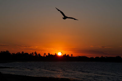 Silhouette bird flying over sea against orange sky