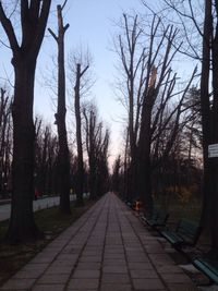 Road passing through trees