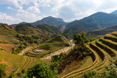 Scenic view of agricultural field against sky