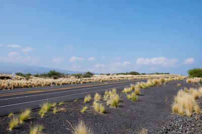 Scenic view of road amidst field against sky