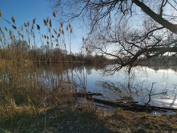 Scenic view of lake against sky