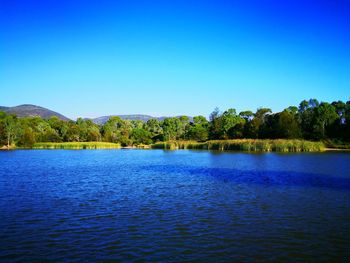 Scenic view of lake against clear blue sky