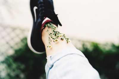 Low section of woman wearing shoes