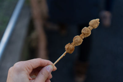 Close-up of hand holding leaf