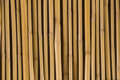 Full frame shot of bamboo against wall