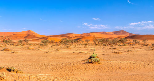 Scenic view of desert against sky