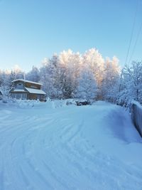 Snow covered trees and houses against sky