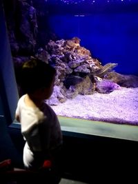 Close-up of boy in aquarium