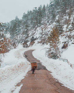 A villager woman on the snow road with basket.