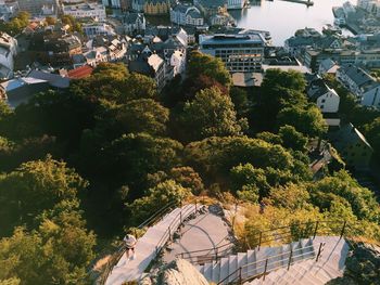 High angle view of trees and buildings in city