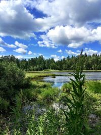 Scenic view of lake against sky