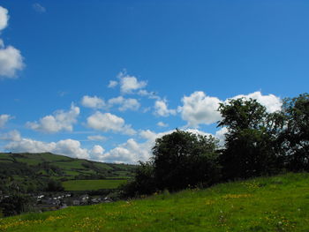 Trees on field against sky