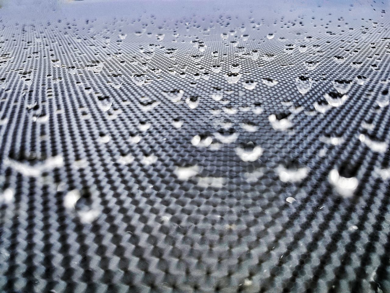 Raindrops on a fly screen