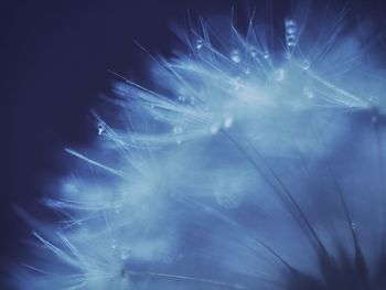 Close-up of illuminated blue light