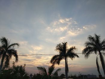 Low angle view of silhouette palm trees against sky during sunset