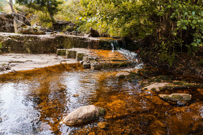 Stream flowing through rocks in forest