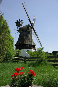 View of a field