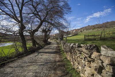 Footpath amidst trees against sky