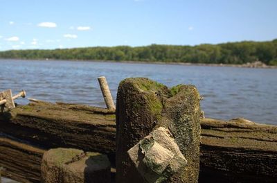 Close-up of wood against lake