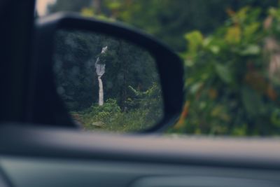 Reflection of car on side-view mirror