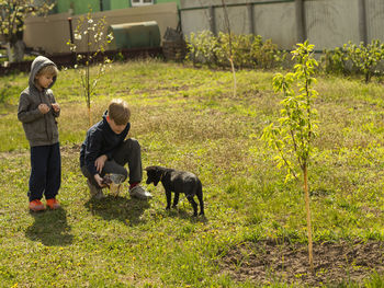 Two caucasian fair-haired boys play with a dog in the garden 