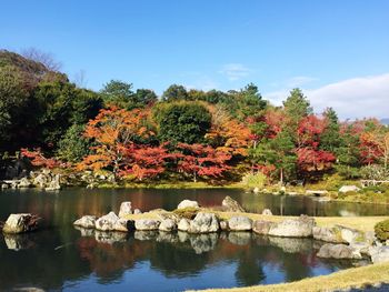 Scenic view of lake by trees against sky