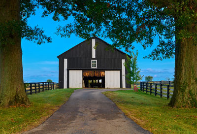 Tobacco hanging in a barn with driveway and trees.